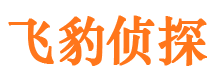 屯留市侦探调查公司